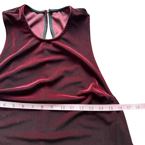 Sleeveless Velvet Shift Mini Dress Burgundy Size Small - Picture 5 of 6